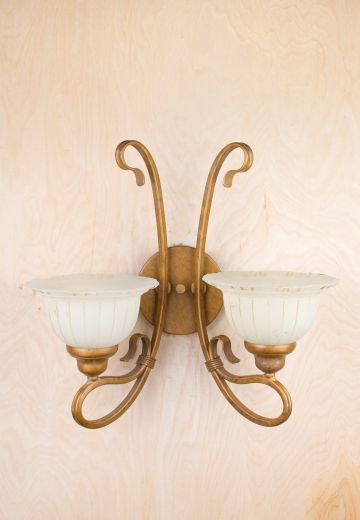 Two Light Wall Sconce w/Glass Shades