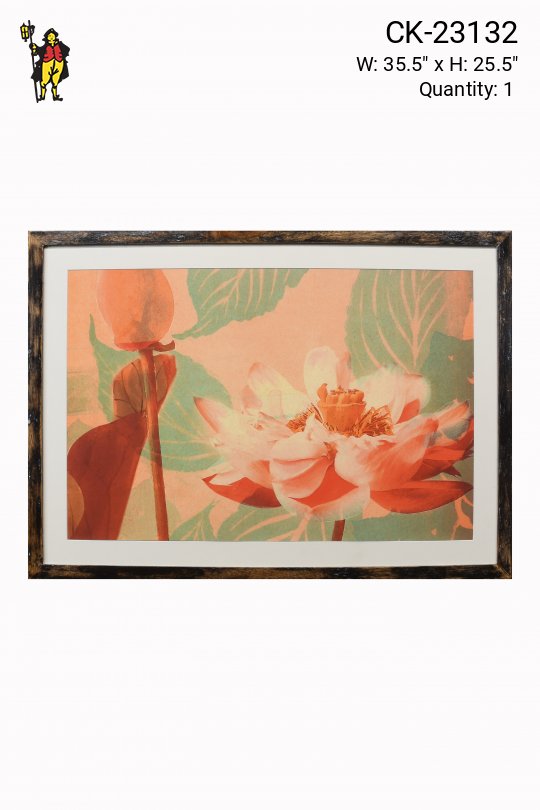 Cleared Black Framed Contemporary Botanical Painting Collage