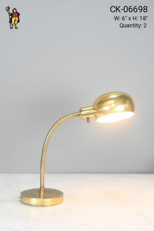 Brass Gooseneck Desk Lamp