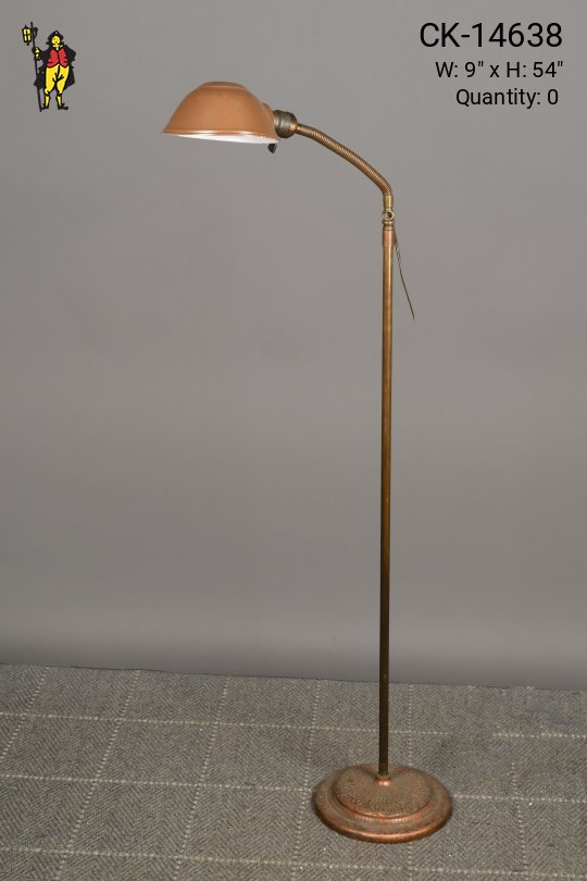Bronze Metal Shaded Gooseneck Floor Lamp