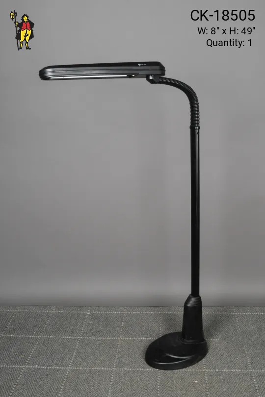 Black Modern Gooseneck Reading Floor Lamp