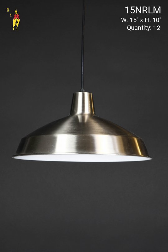 Polished Nickel 15" Hanging RLM (From Wire)