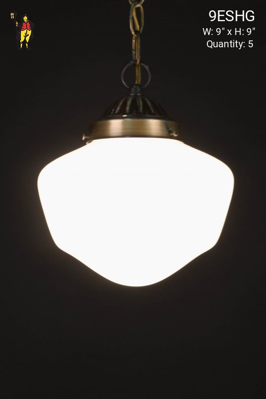 9" Elongated Hanging School House Globe