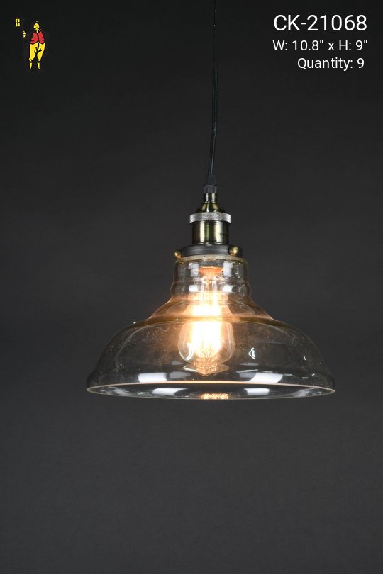 10" Clear Glass Hanging Pendant
