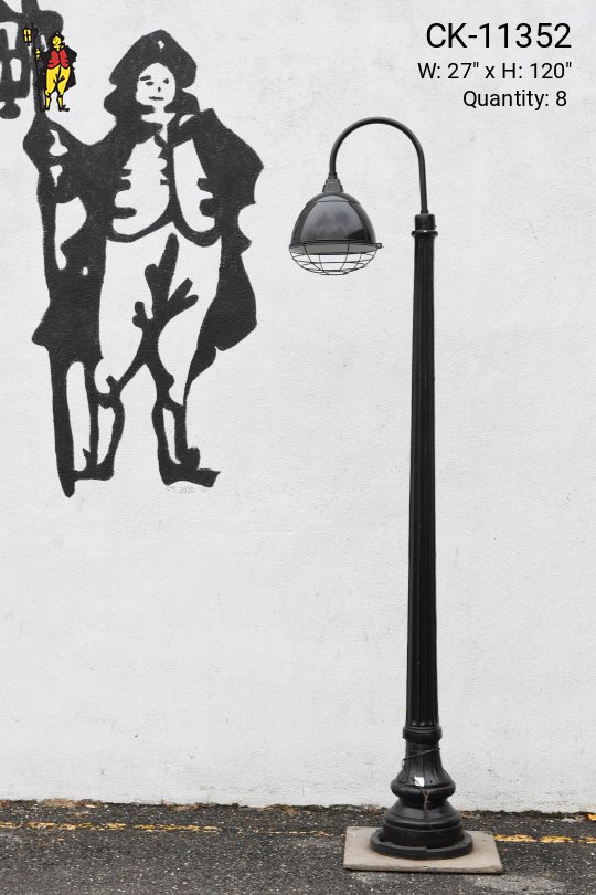 Curved Arm Caged Reflector Lamp Post