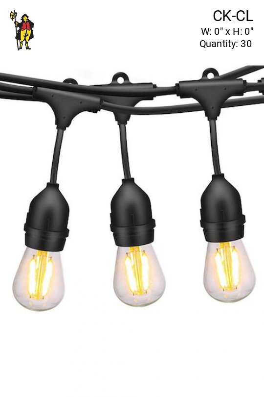 String Lights (50')