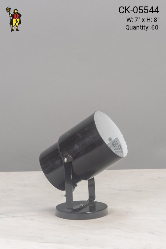 Polished Black Can Light