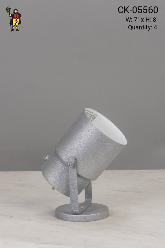 Matte Silver Can Light