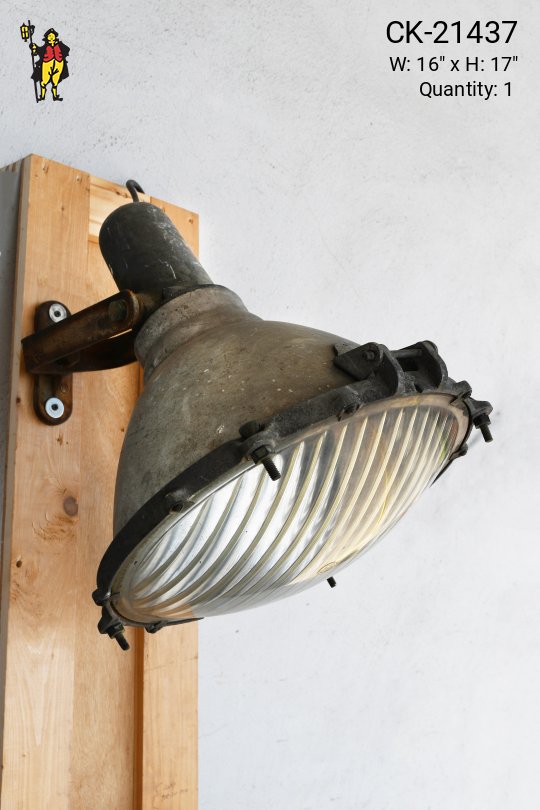 Metal Adjustable Spotlight