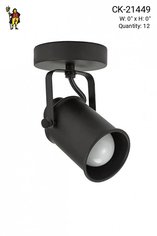 Dark Bronze Ceiling/Wall Mounted Adjustable Spot/Museum Light