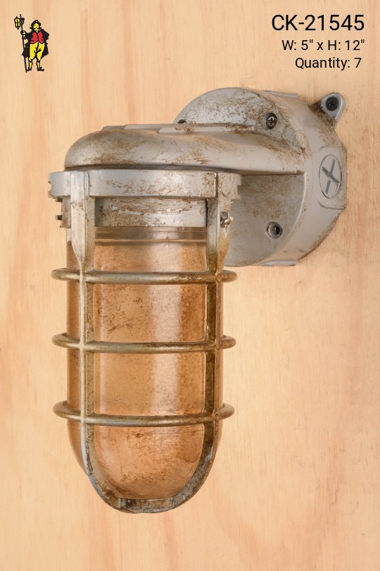 Distressed Box Wall Mounted Cage Wall Light