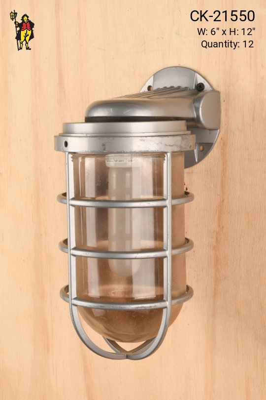 Metal Oversized Caged Vapor Proof Wall Light
