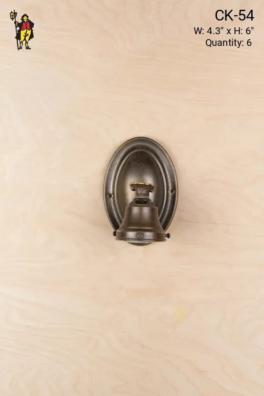 Bronze Finished Down Light