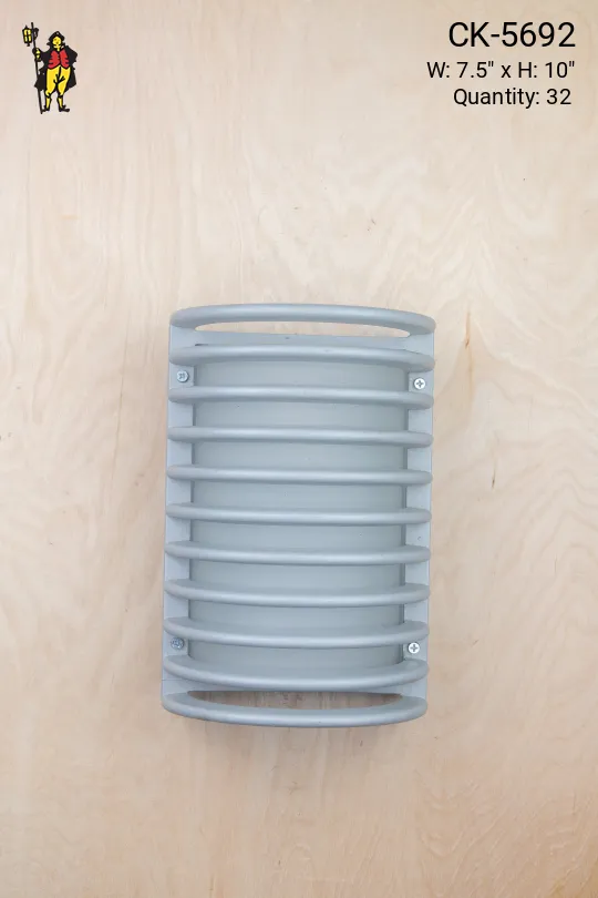 Metal Cage Light w/Frosted Glass Shade