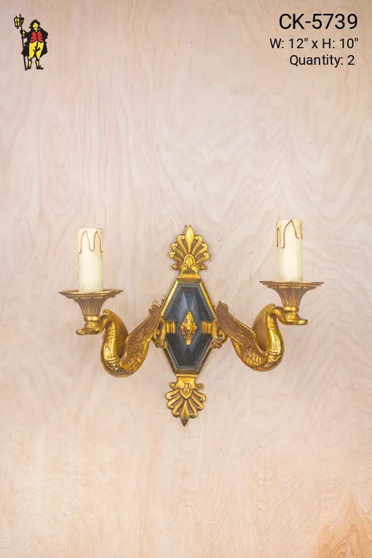 Two Bird Black & Brass Wall Sconce