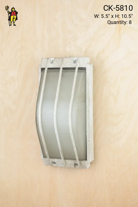 Emergency Cage Light