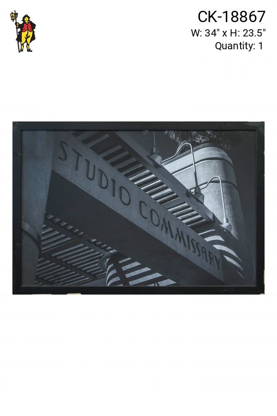 Framed Cleared Black & White Studio Photograph