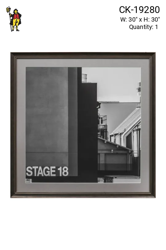 Framed Cleared Black & White Back Lot Photograph