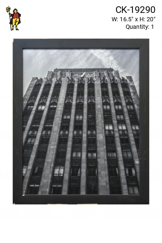 Framed Cleared Black & White Low Angle Building Photograph