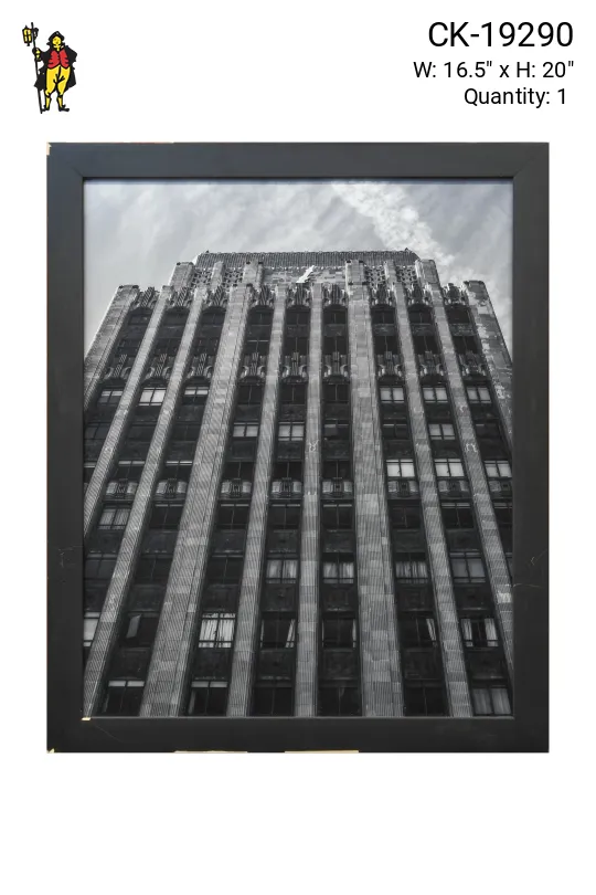 Framed Cleared Black & White Low Angle Building Photograph