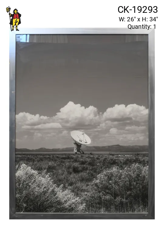 Framed Cleared Black & White Large Satellite Photograph