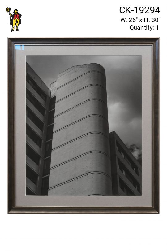 Framed Cleared Minimalist Black & White Unique Building Photograph