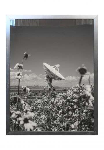 Nickel Framed Cleared Black & White Satellite Flowers Photograph