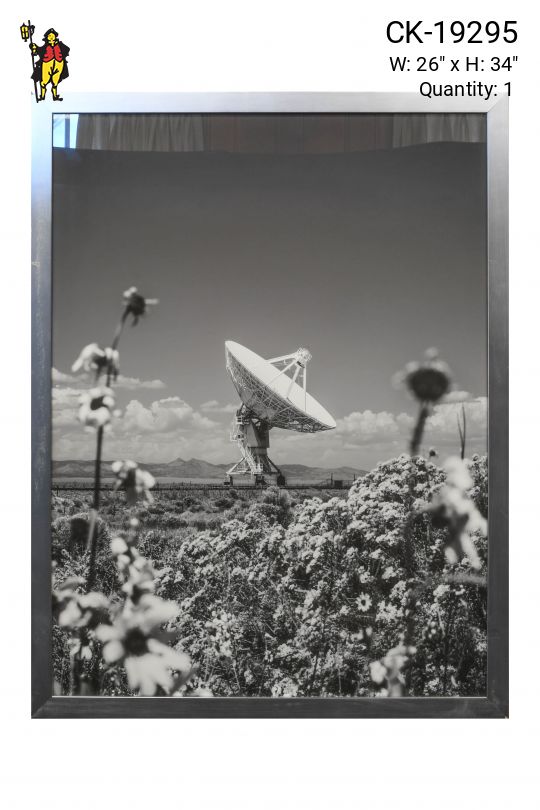 Nickel Framed Cleared Black & White Satellite Flowers Photograph