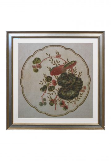 Framed Cleared Victorian Floral Illustration