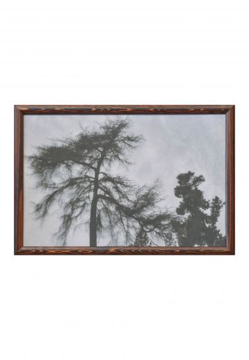 Wooden Framed Black & White Tree Tops Photograph