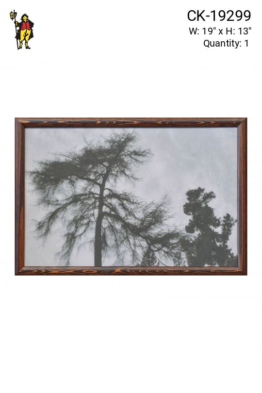 Wooden Framed Cleared Black & White Tree Tops Photograph