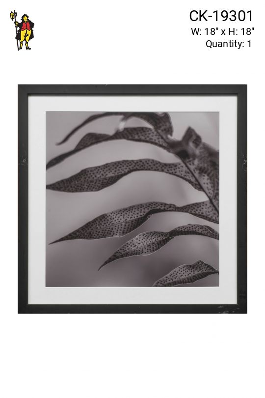 Black Framed Cleared Leaf Texture Photograph