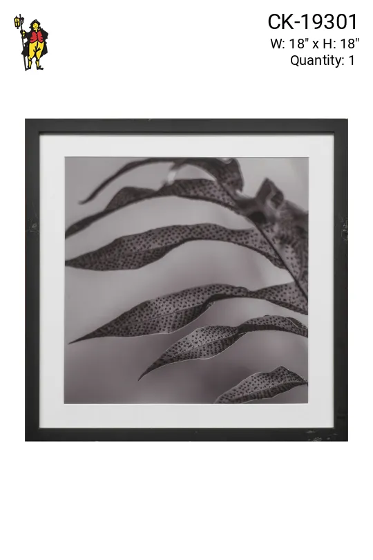 Black Framed Cleared Leaf Texture Photograph