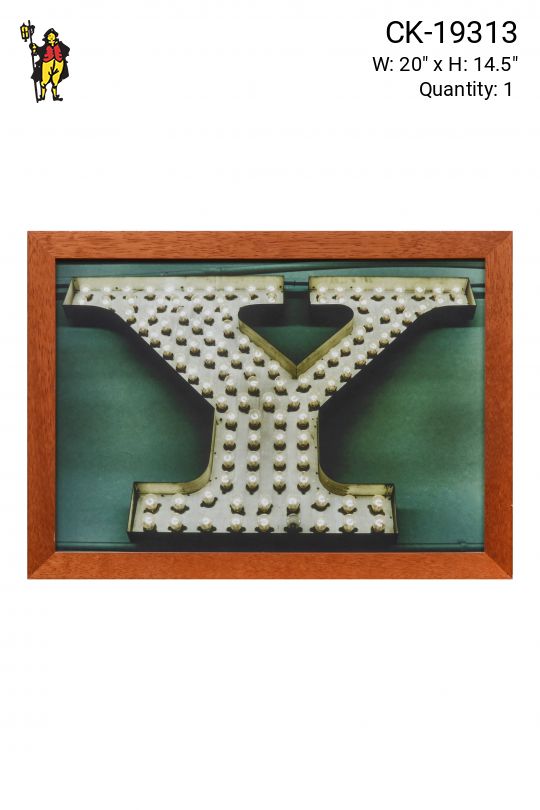 Wooden Framed Pop Art "Y" Photograph