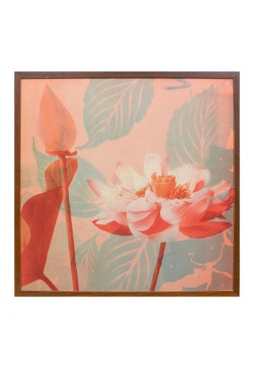 Framed Mid Century Botanical Print