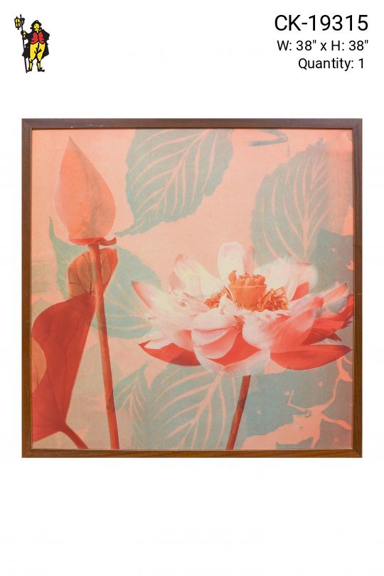 Framed Cleared Mid Century Botanical Print
