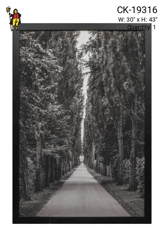 Cleared Black & White Trees Photograph