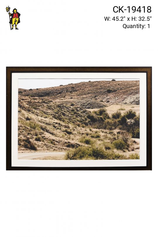 Framed Desert Photograph