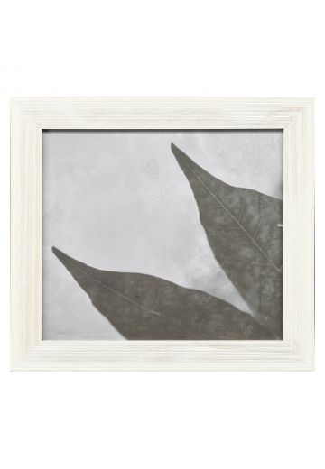 Framed Cleared Minimalist Leaves Macro Photograph