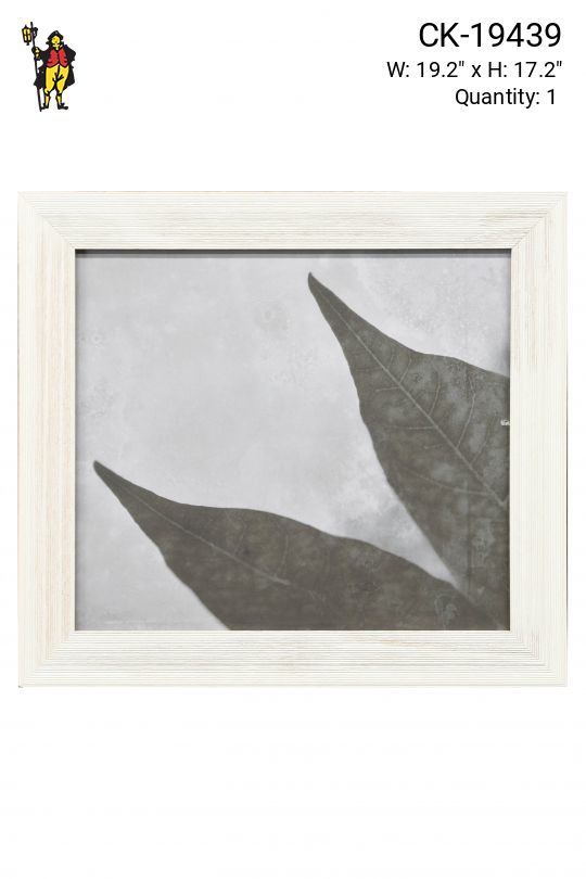 Framed Minimalist Leaves Macro Photograph
