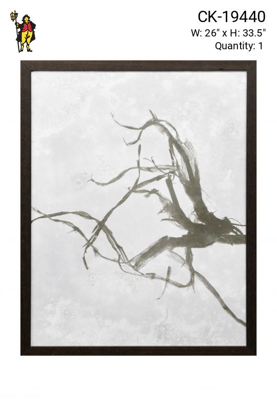 Framed Cleared Tintype Style Botanical Photograph - 2
