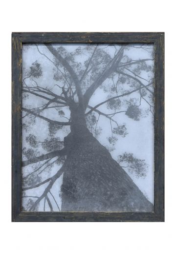 Framed Cleared Black & White Minimalist Photograph