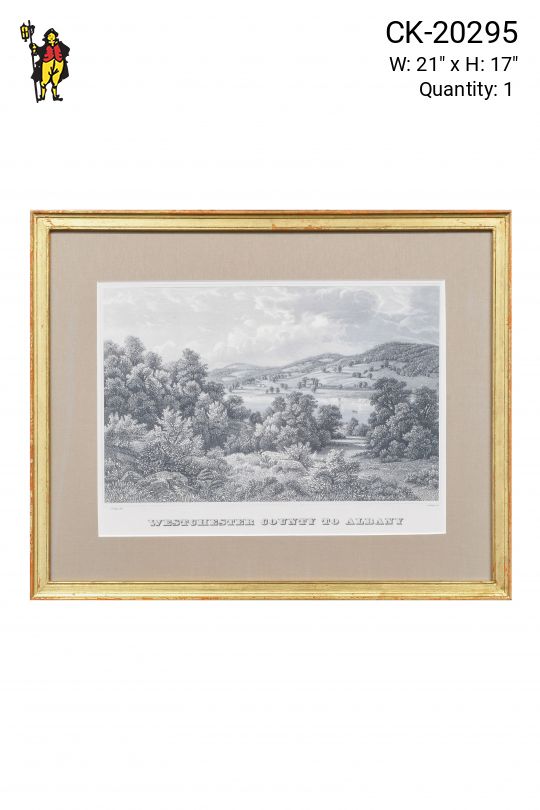 Gold Framed Cleared Westchester County to Albany Print