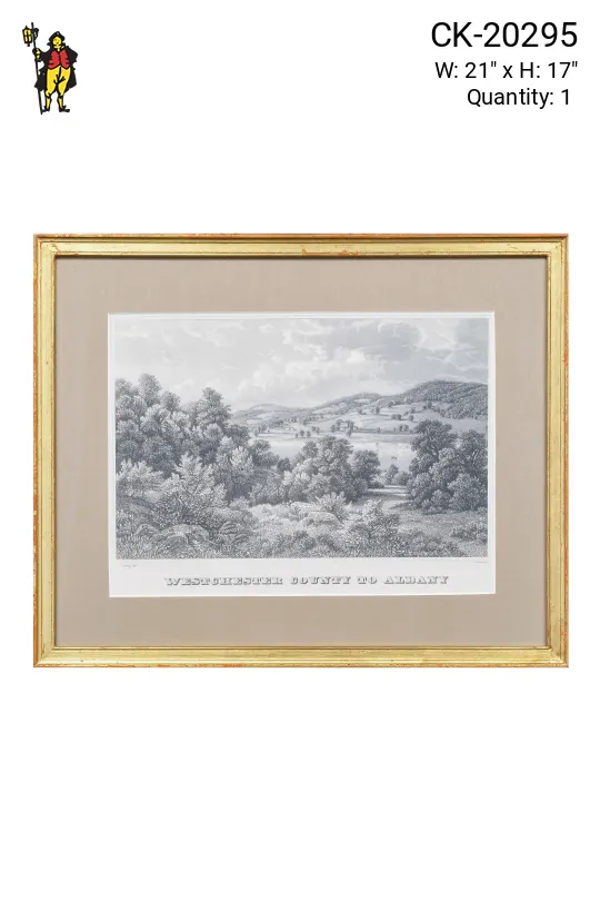 Gold Framed Cleared Westchester County to Albany Print