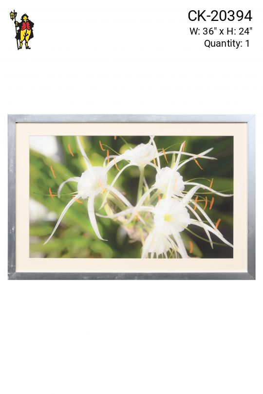 Nickel Framed Cleared "Trumet Flower" Photograph