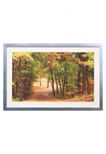 Framed "Fall Leaves C" Photograph