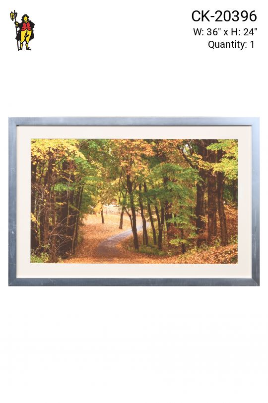 Framed Cleared "Fall Leaves C" Photograph