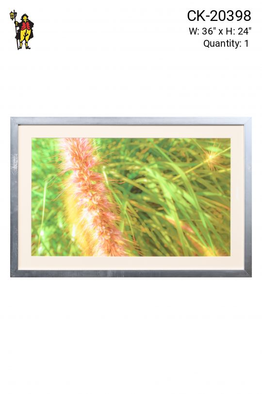 Framed "Purple Grass" Photograph