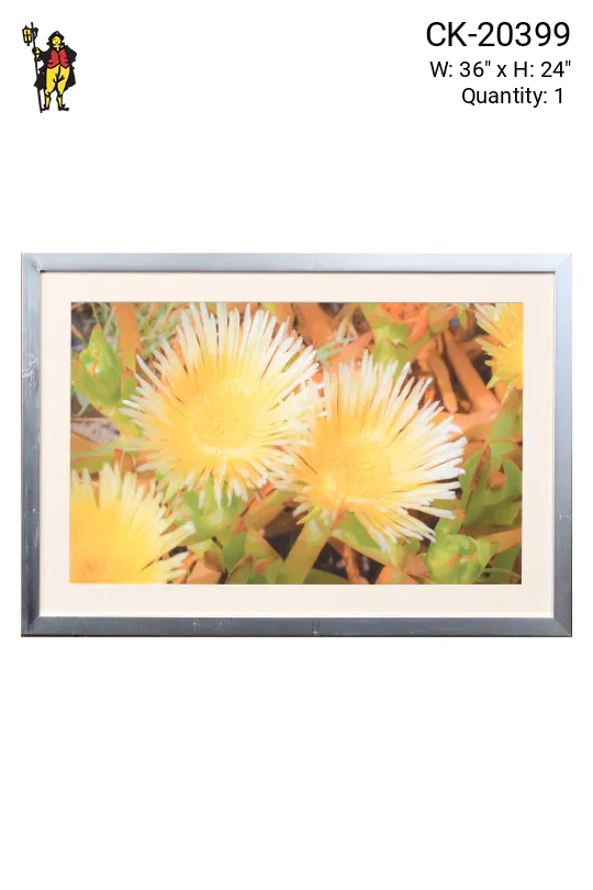 Framed Cleared "Suculent Flowers In The Dunes" Photograph