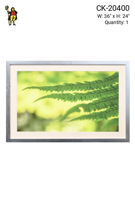 Framed Cleared "Framed Fern Leaves" Photograph